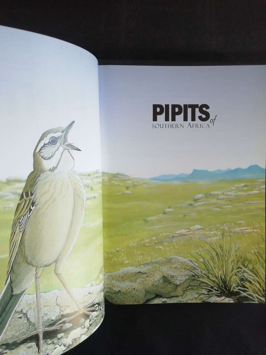 Pipits of Southern Africa - The Complete Guide to Africa's Ultimate LBJ's / Faansie Peacock