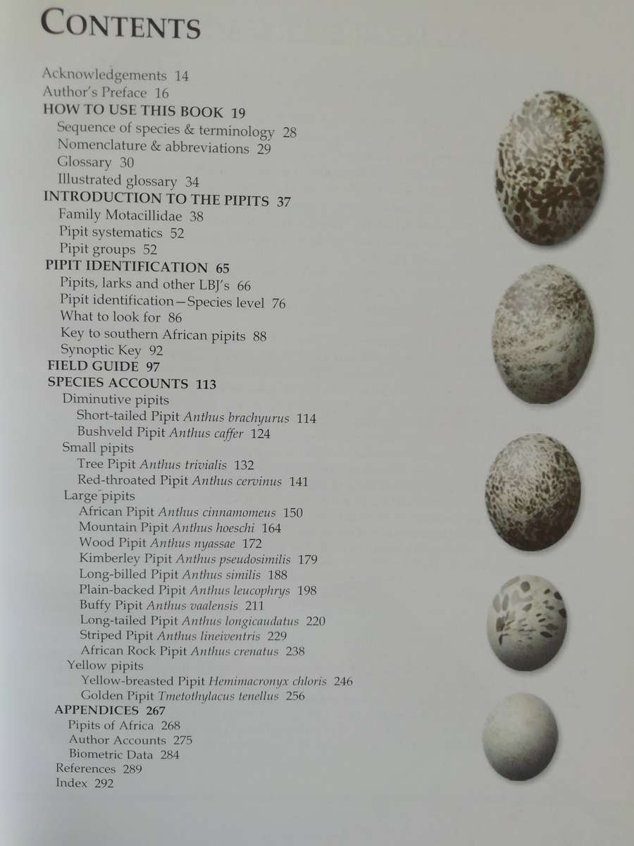 Pipits of Southern Africa - The Complete Guide to Africa's Ultimate LBJ's / Faansie Peacock