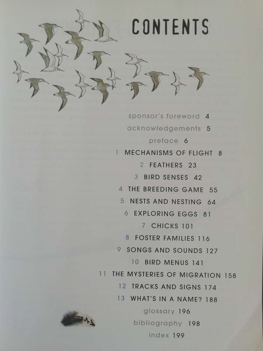 Sasol Birds : The Inside Story / Rael & Helene Loon