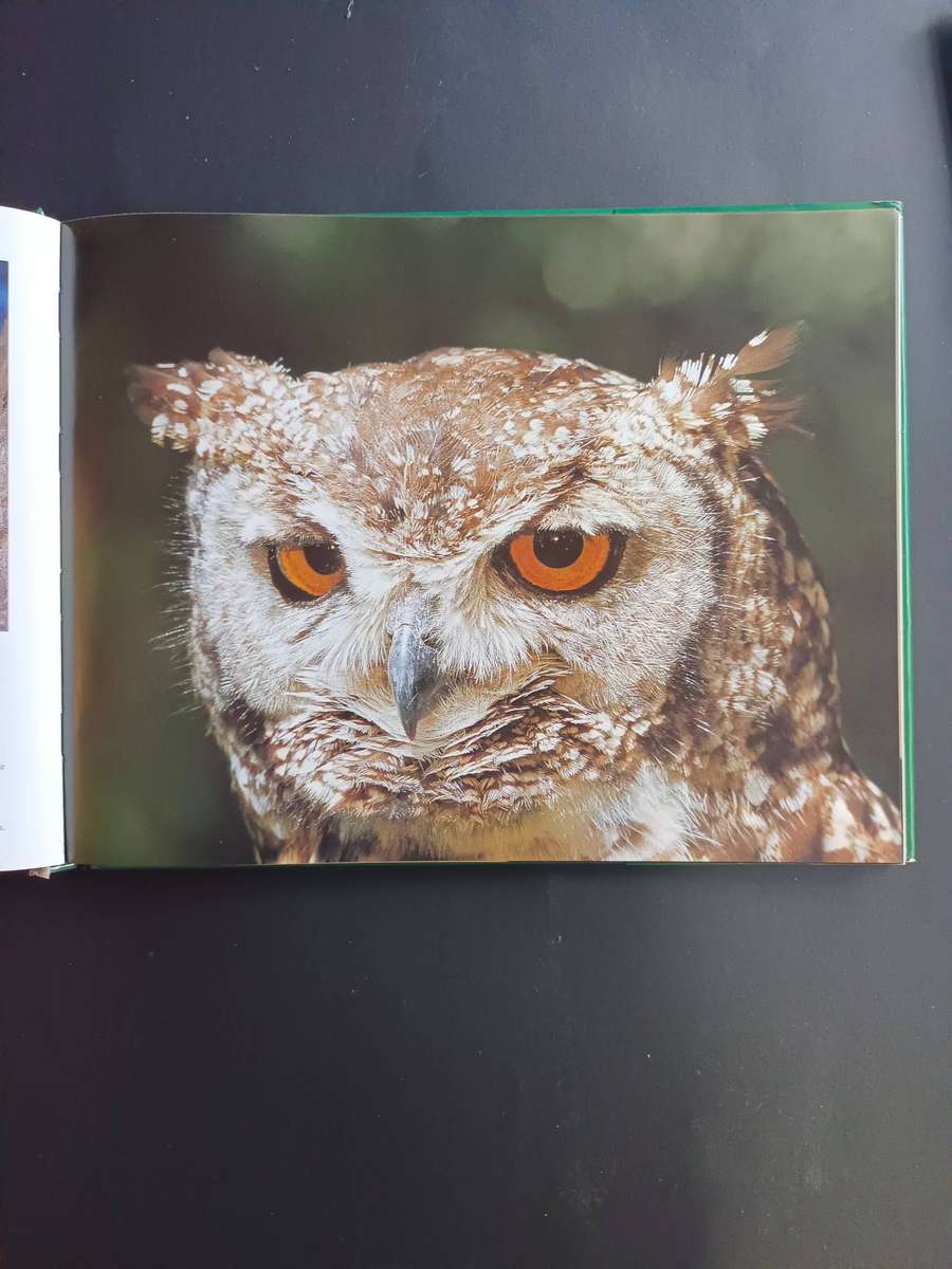 Birds of Southern Africa / Nigel Dennis