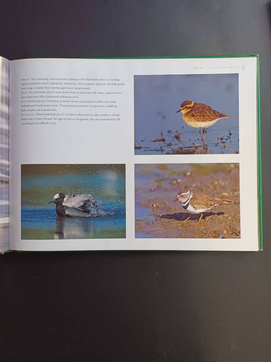 Birds of Southern Africa / Nigel Dennis