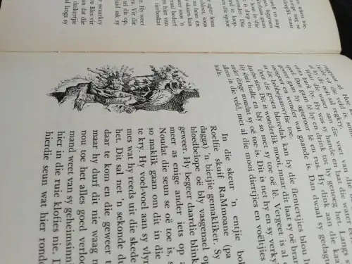 Die Verkyker / C.S. Badenhorst