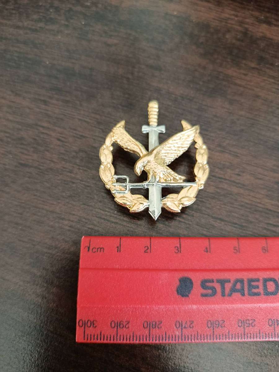 SAPS, SPECIAL TASK FORCE - 2ND TYPE OPERATOR BADGE