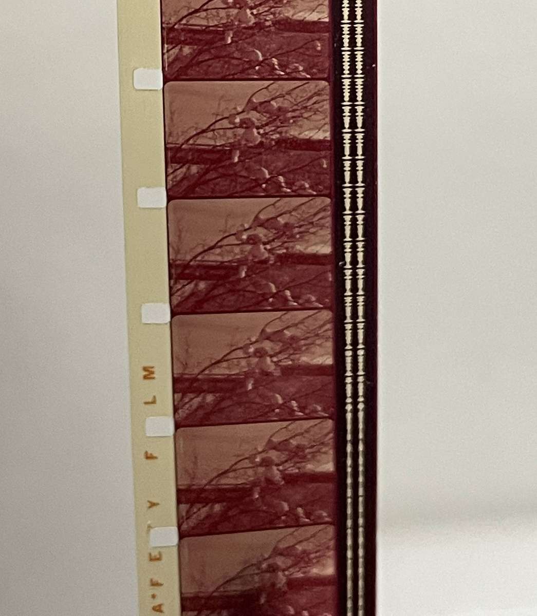 16MM Movie Reel in Metal Case - Accessible Artic