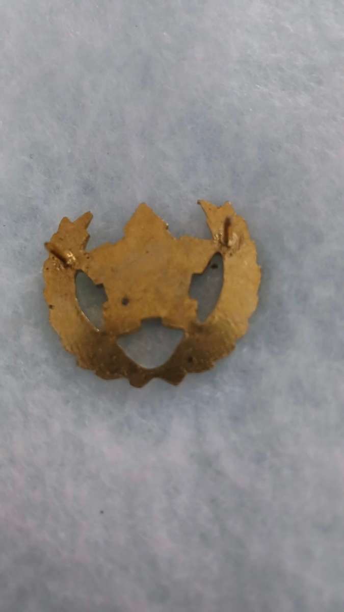 SA Navy Citizen Force, Commando and Volunteer Breast Badge.