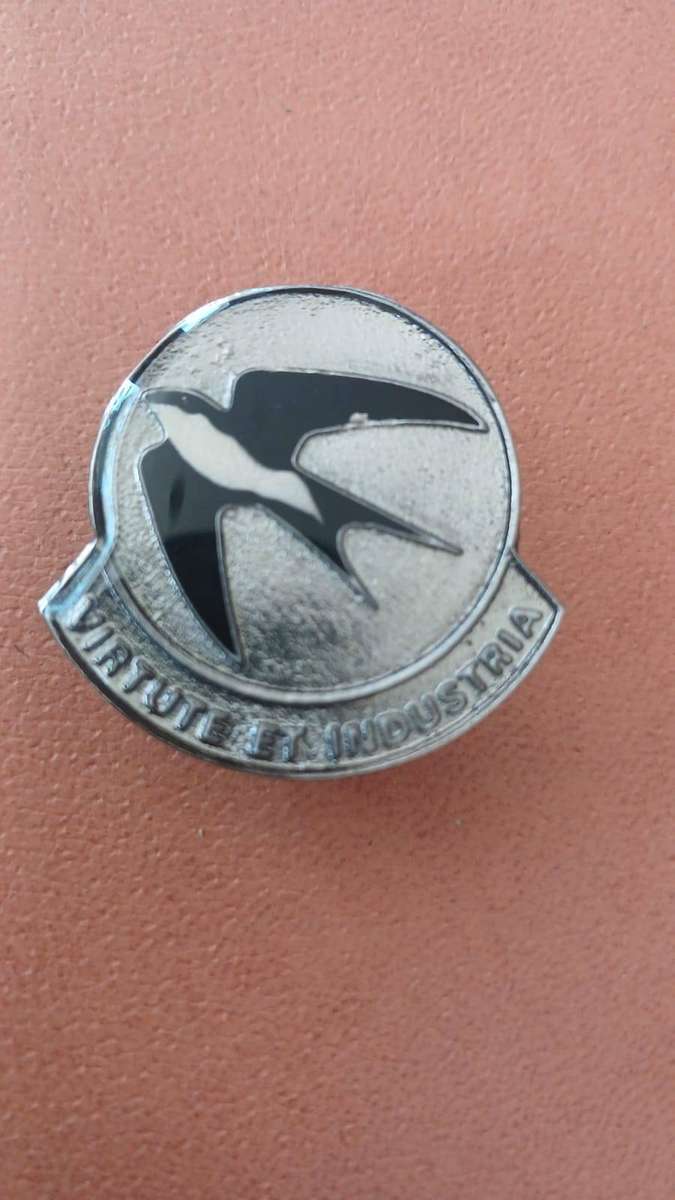 Virginia Commando Badge.