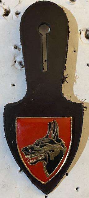 Dog Unit Fob flash all pins