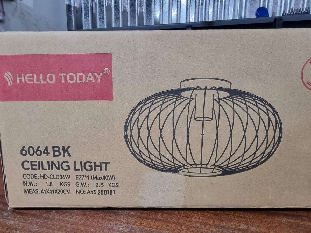 Flush Mount Metal Ceiling Light fitting - 6064