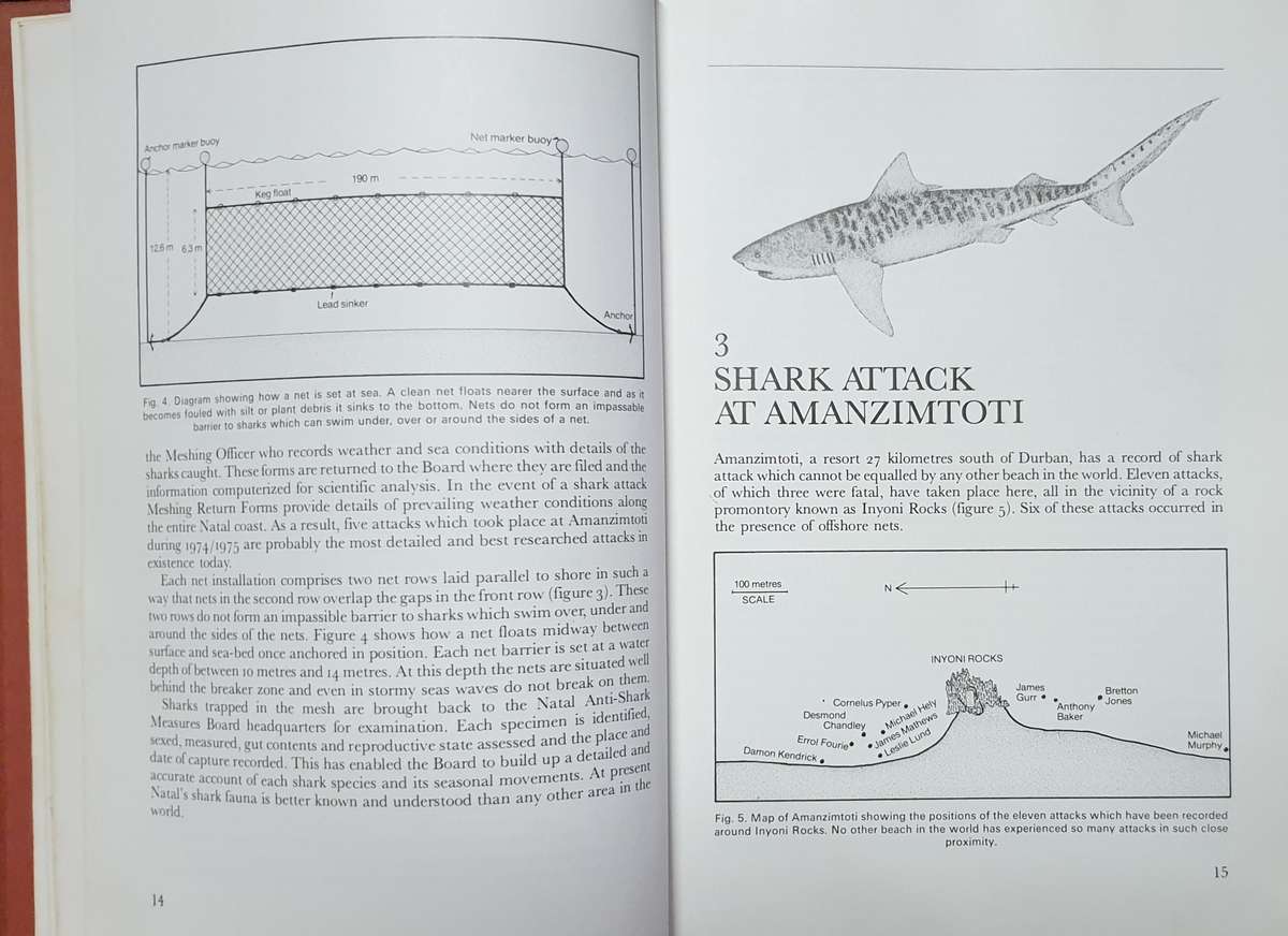 Shark Attack - Tim Wallett (Non-Fiction - Warning, Graphic)