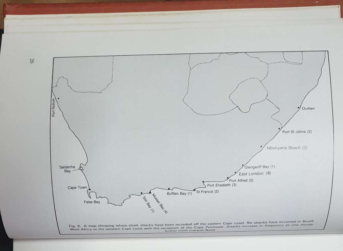 Shark Attack - Tim Wallett (Non-Fiction - Warning, Graphic)