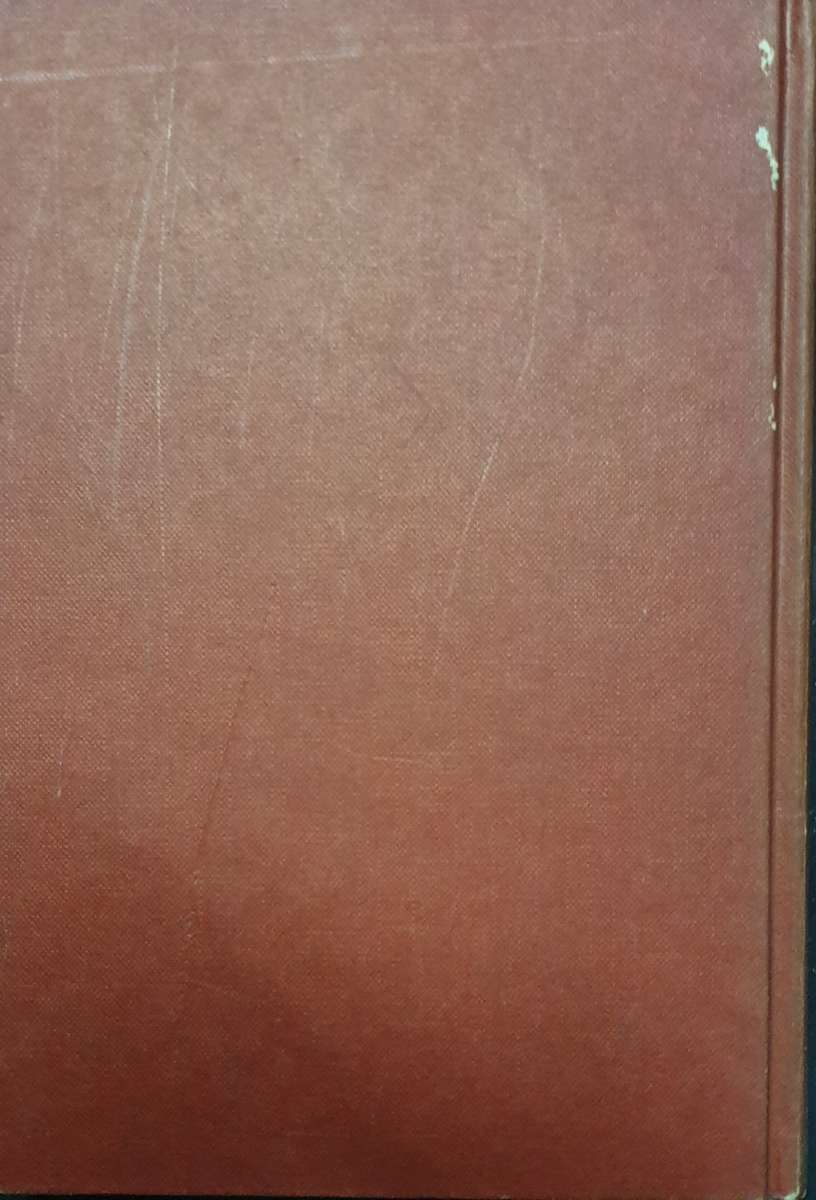 Shark Attack - Tim Wallett (Non-Fiction - Warning, Graphic)