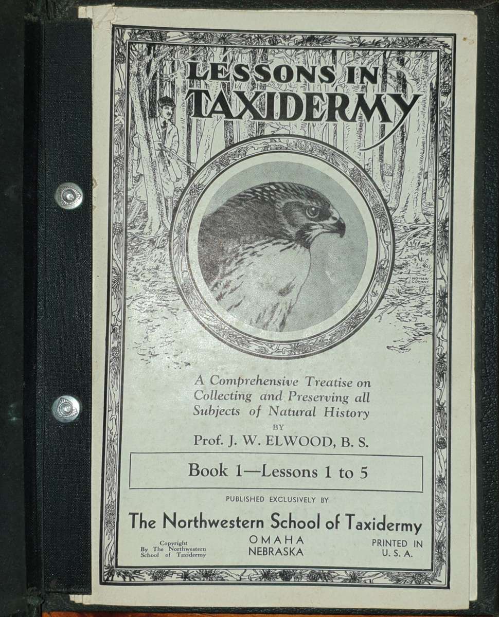 * 1914 * Lessons in Taxidermy - J.W. Elwood (Signed)