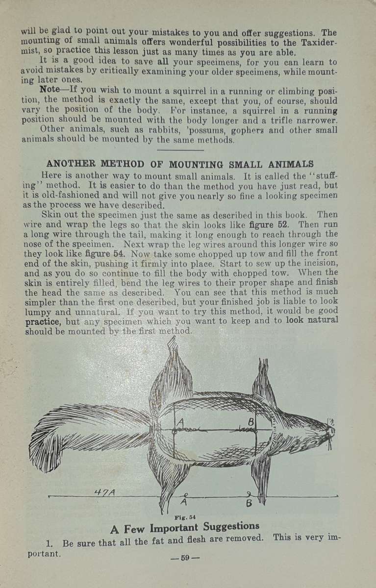 * 1914 * Lessons in Taxidermy - J.W. Elwood (Signed)