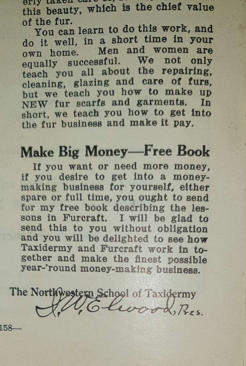 * 1914 * Lessons in Taxidermy - J.W. Elwood (Signed)