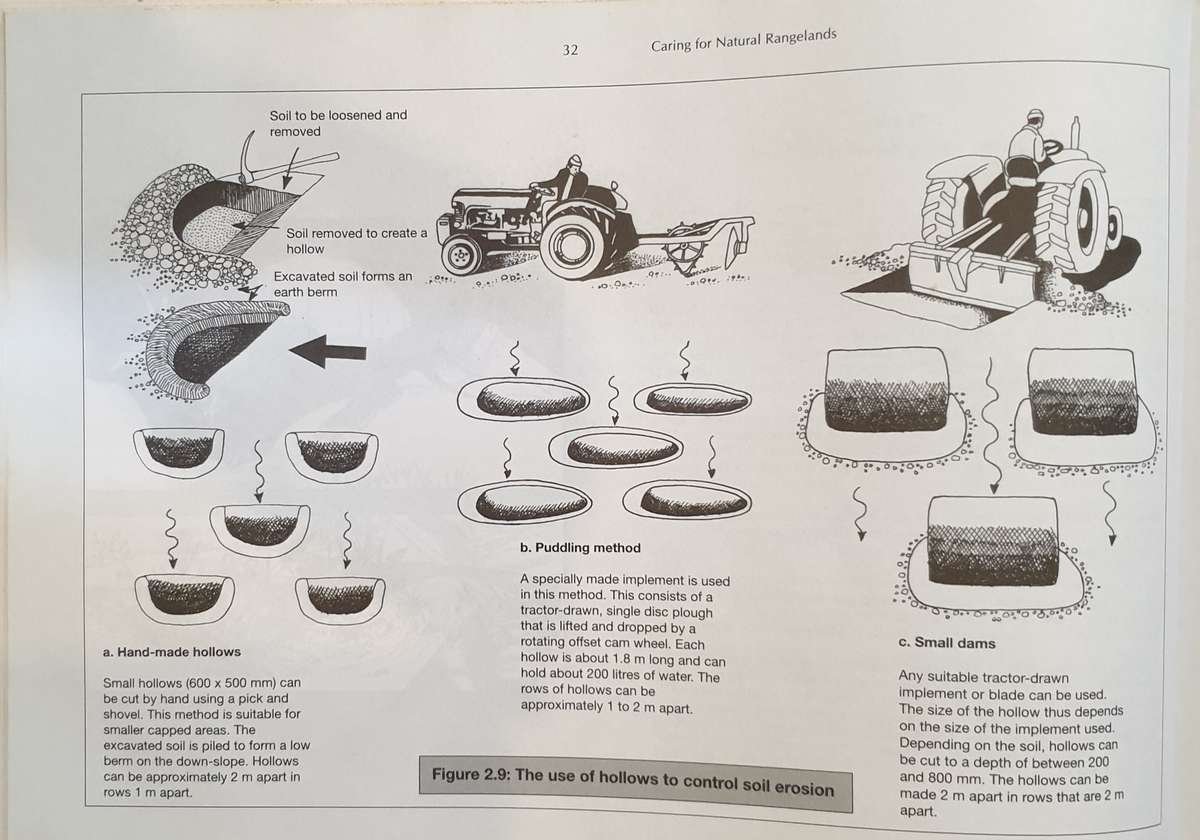 Natural Rangelands, Caring for...Ken Coetzee
