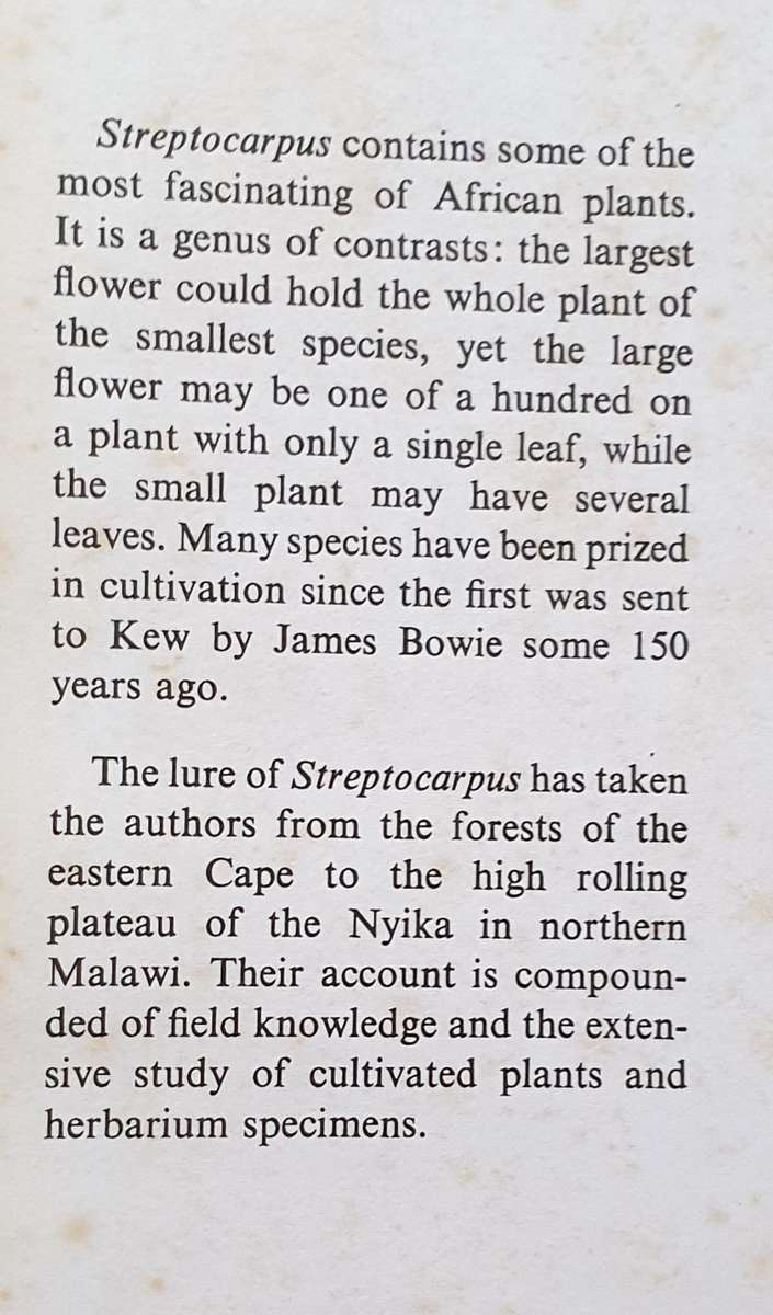 Streptocarpus - An African Plant Study. Hilliard & Burtt