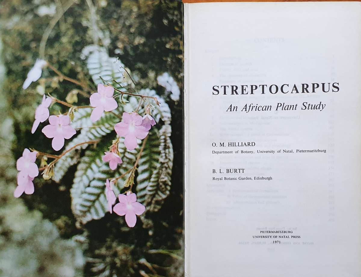 Streptocarpus - An African Plant Study. Hilliard & Burtt