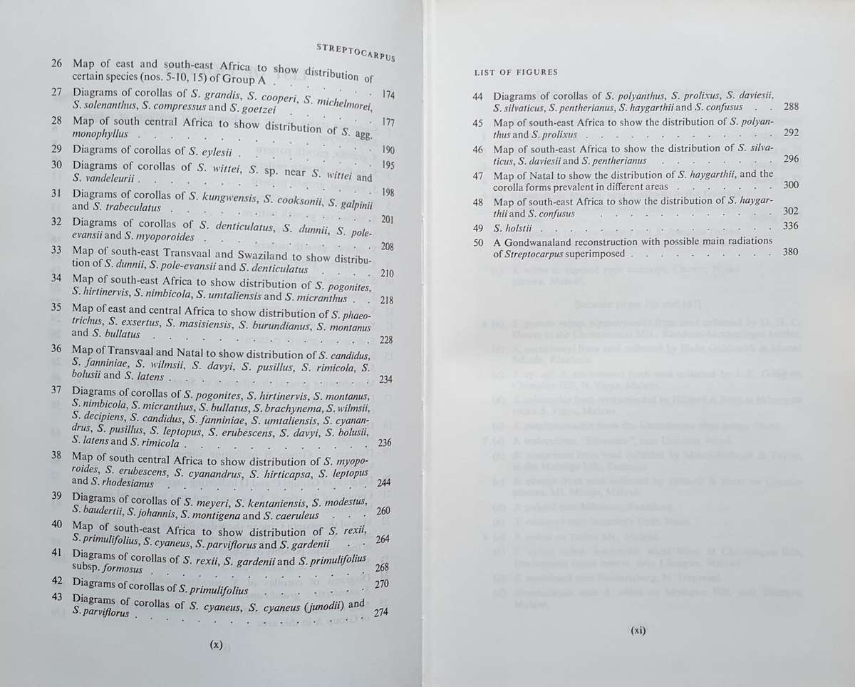 Streptocarpus - An African Plant Study. Hilliard & Burtt