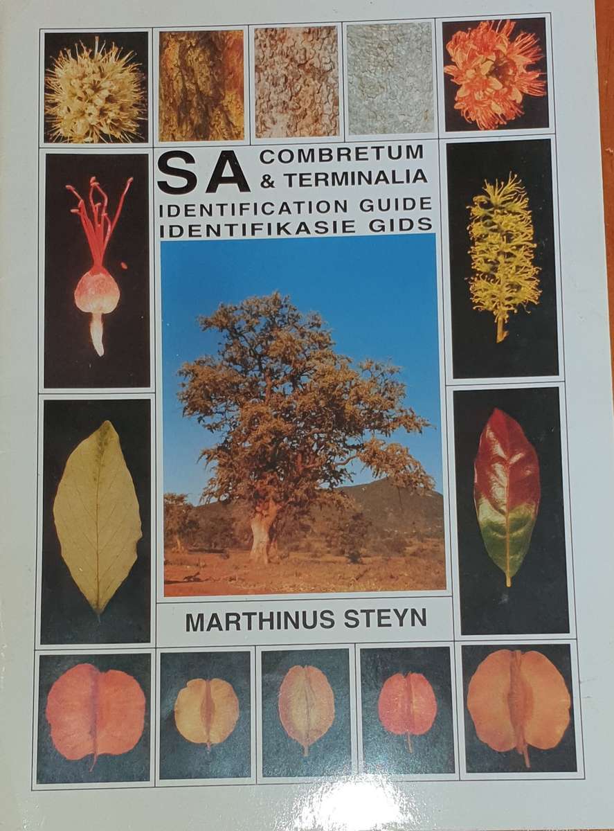 South African Ficus / Combretum / Acacias