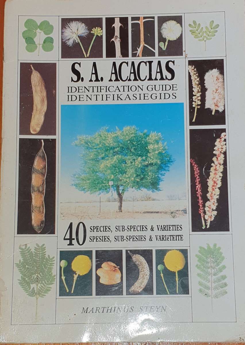 South African Ficus / Combretum / Acacias