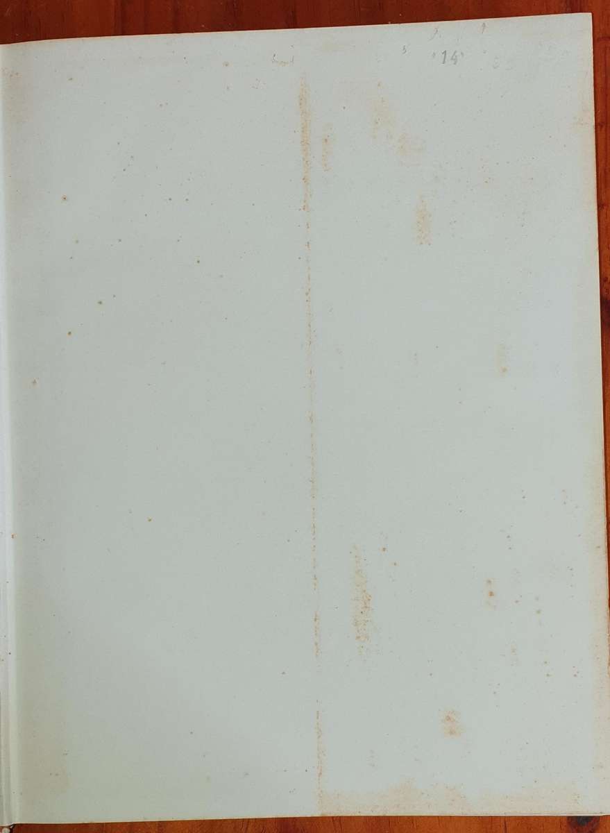 Wild Flowers of the World - Everard & Morley