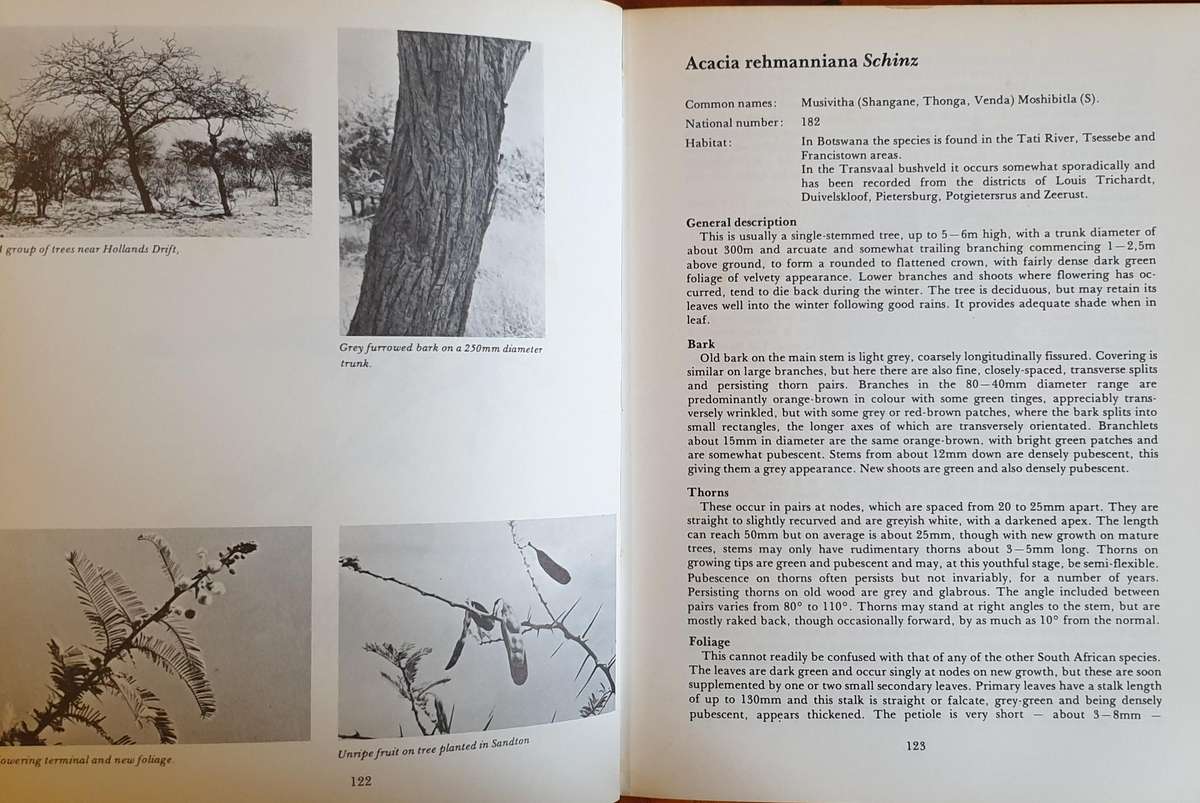 The South African Acacias - J. D. Carr
