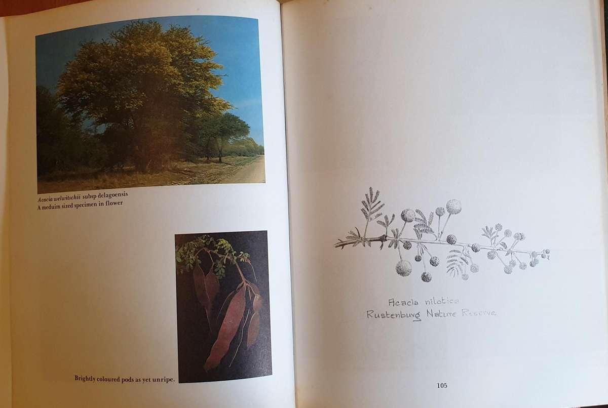 The South African Acacias - J. D. Carr