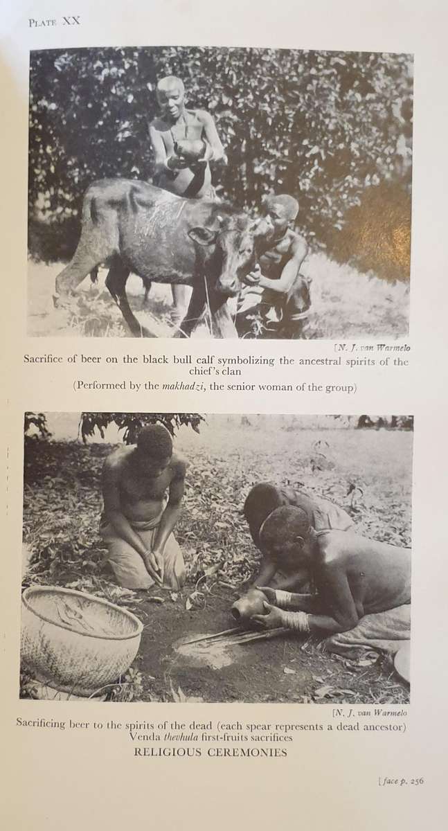 The Bantu-Speaking Tribes of South Africa (I. Schapera)