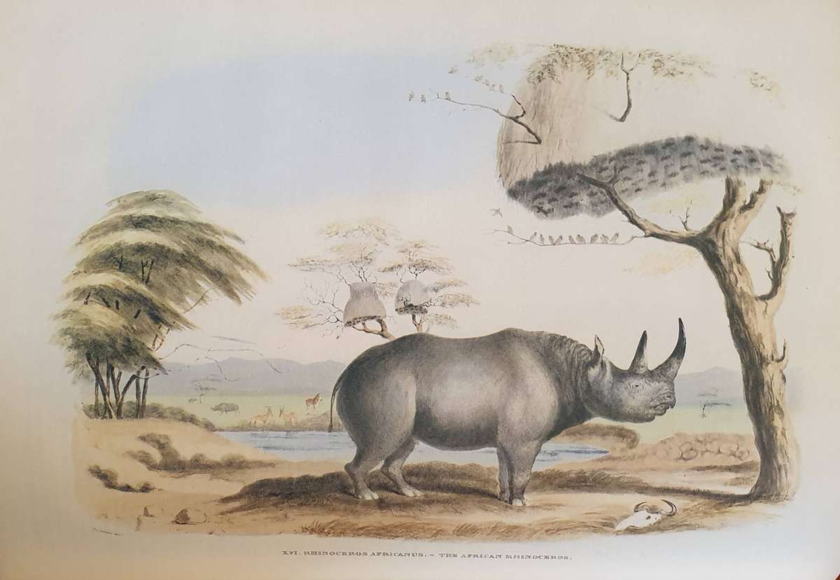 Portraits of the Game and Wild Animals of Southern Africa - Capt. W. Cornwallis Harris