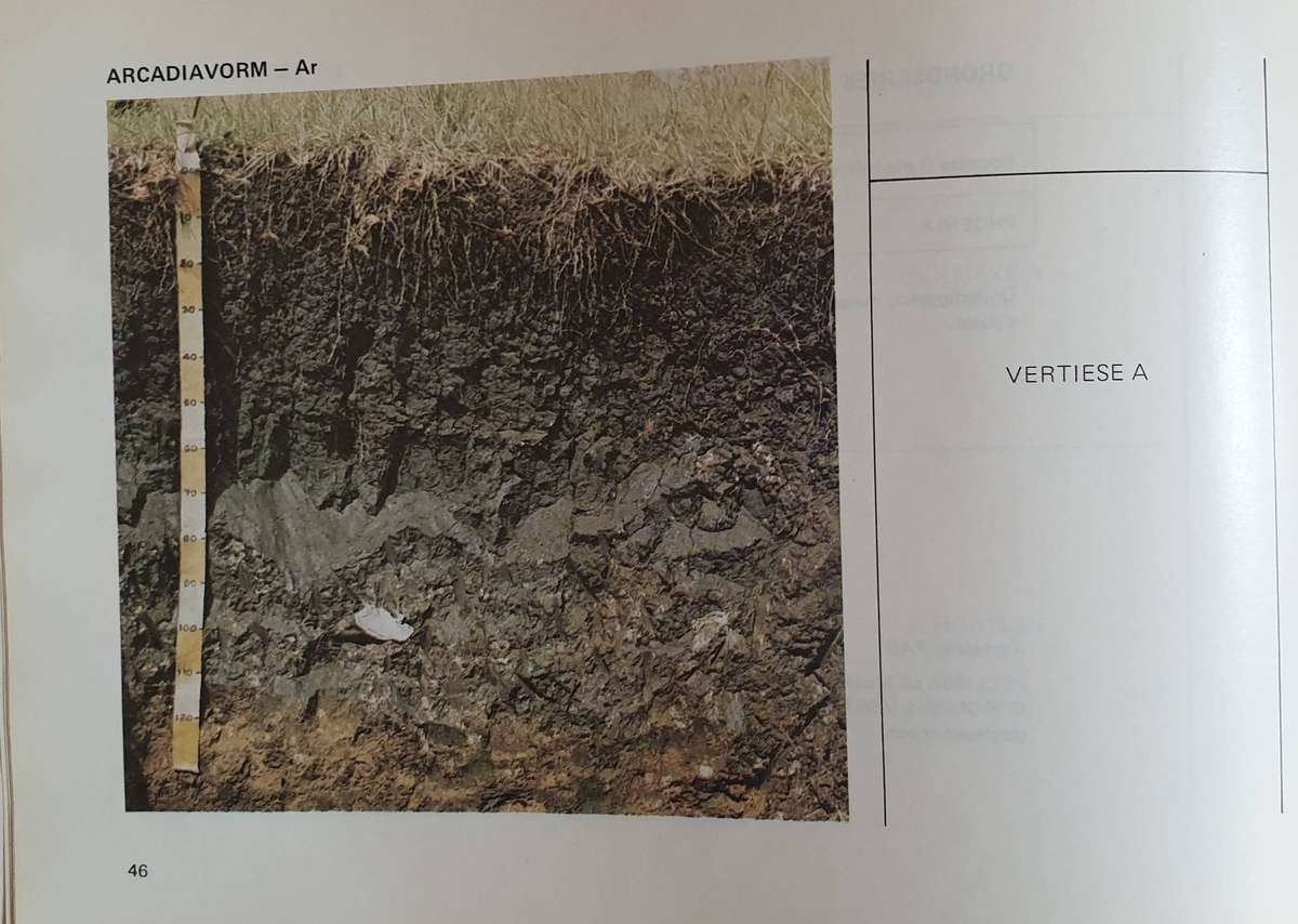 GRONDKLASSIFIKASIE - 'n Binomiese Sisteem vir Suid Afrika