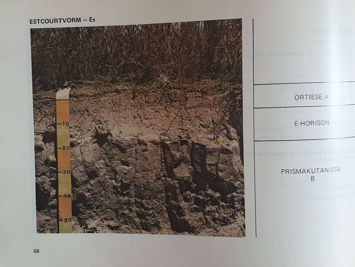 GRONDKLASSIFIKASIE - 'n Binomiese Sisteem vir Suid Afrika