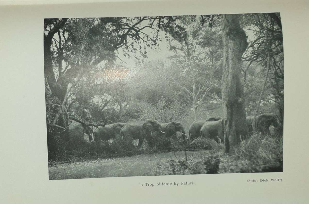 1ste Druk 1949 - Die Laeveld, sy Natuurlewe en sy Mense (Luit.Kol. J. Stevenson-Hamilton)