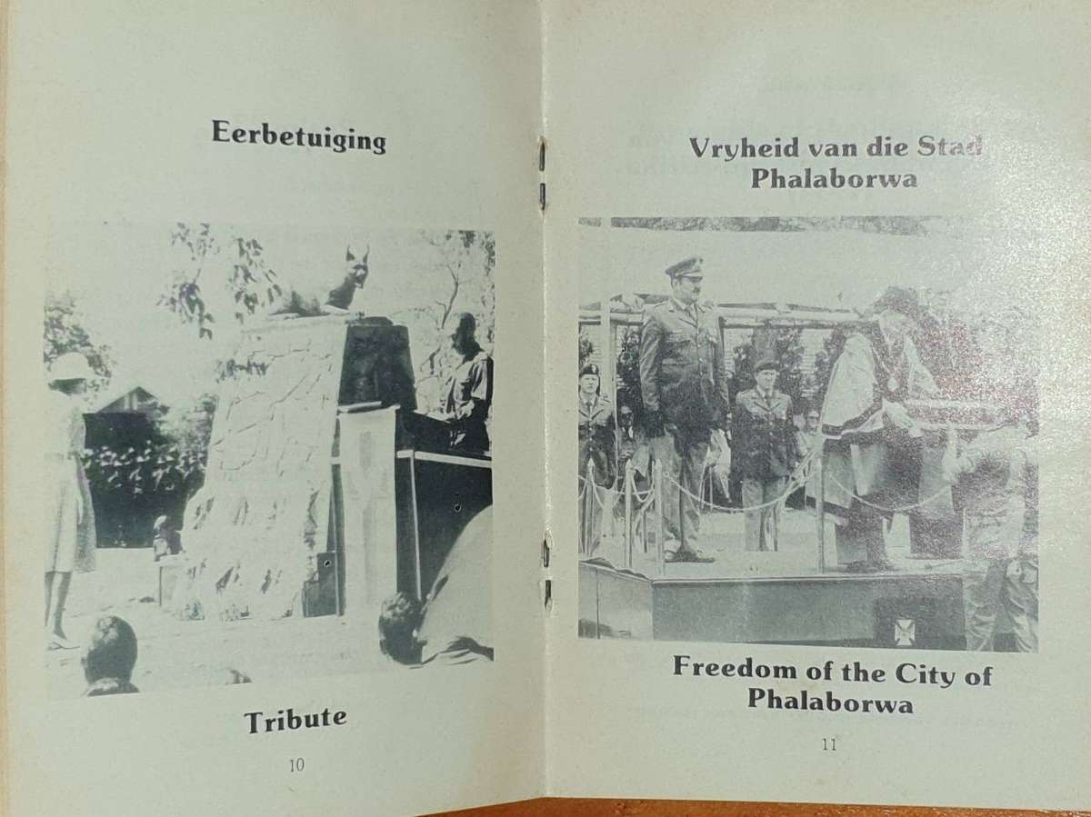 7 S.A.I. Phalaborwa Items, all in one lot.