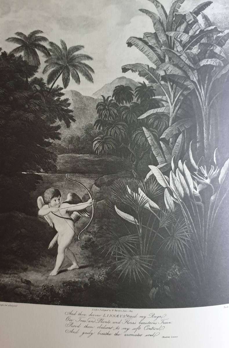 Thornton's Temple of Flora - With Plates by Geoffrey Grigson