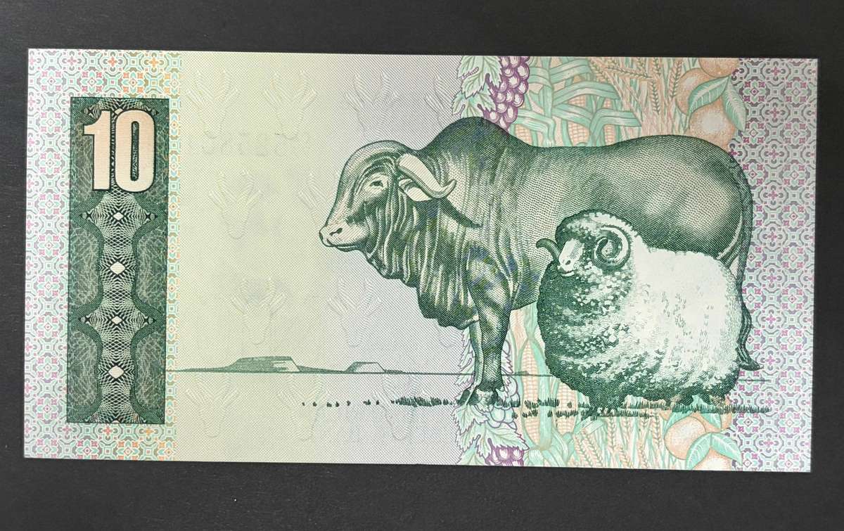 Gpc de Kock ten rand c4