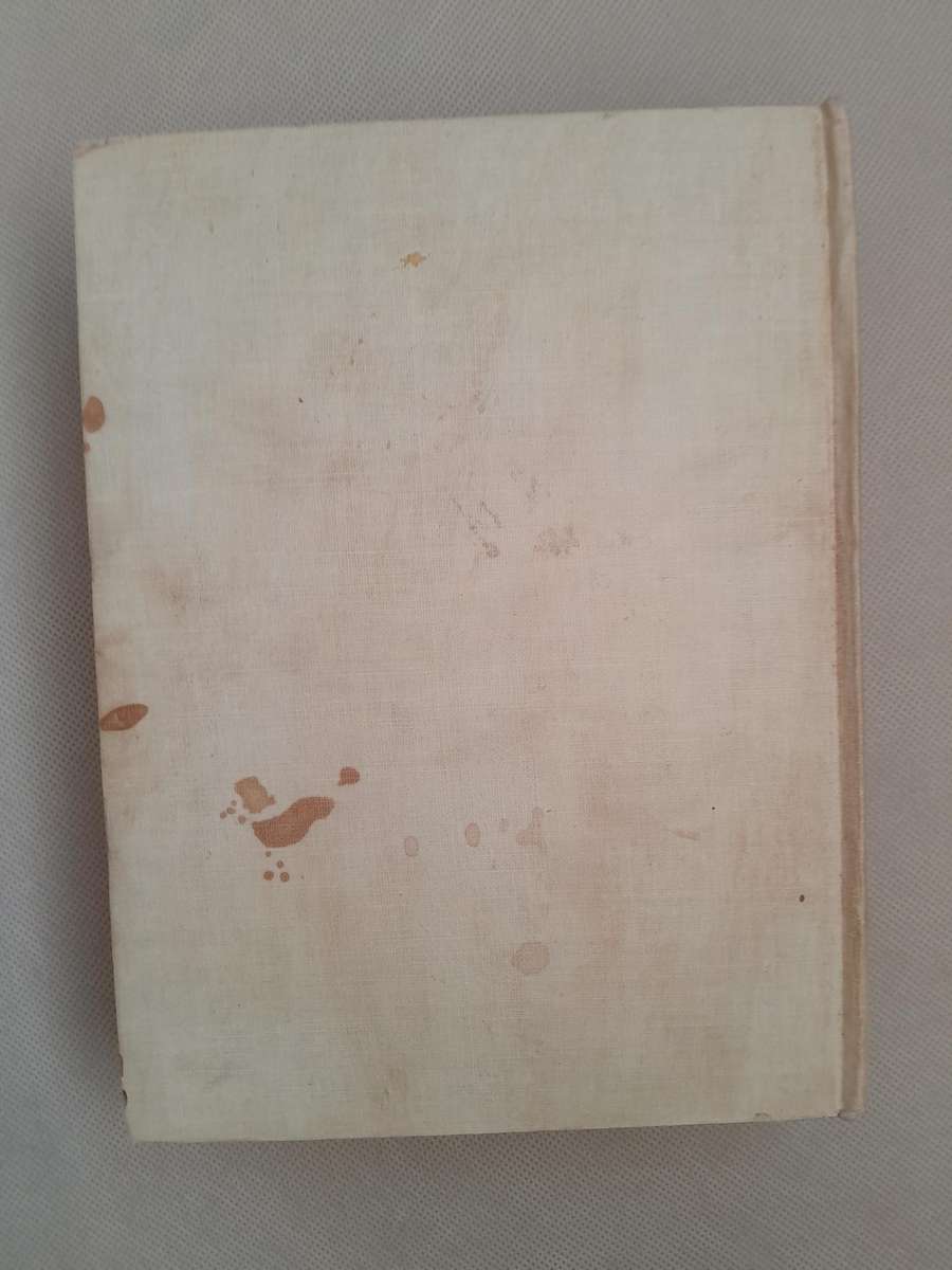 Sir Walter Raleigh - John Buchan