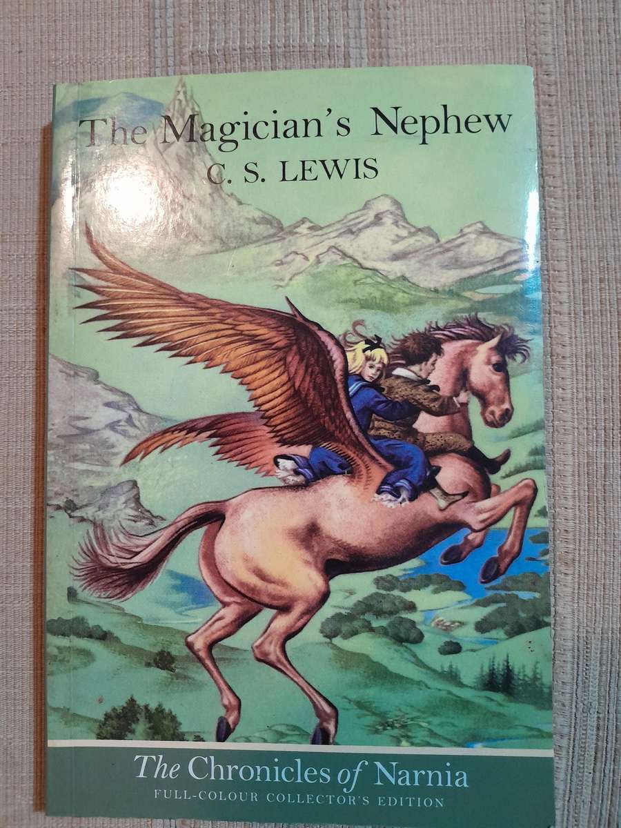 The Magician's Nephew - C.S. Lewis.