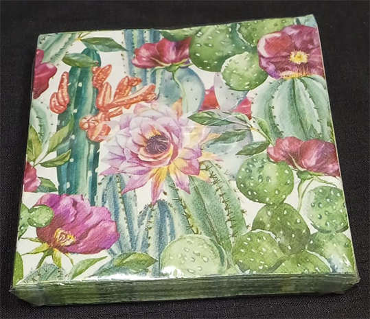 Imported Pack of Cacti & Succulents Serviettes - 20 Serviettes x 3Ply