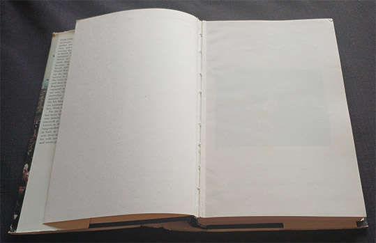 The Dukes by Neil Orpen