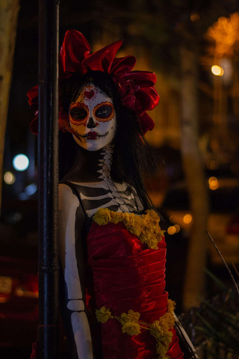 Nikon D3100 DSLR Camera  Excellent Condition  Full Kit for Beginners & Hobbyists