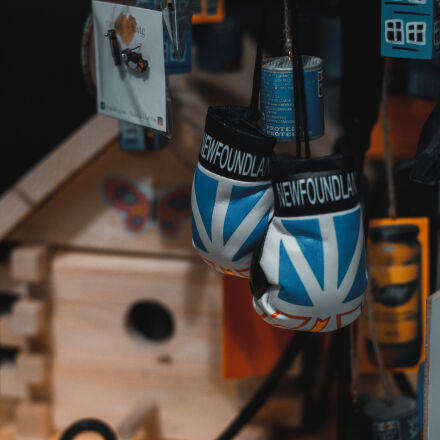 Nikon D3100 DSLR Camera  Excellent Condition  Full Kit for Beginners & Hobbyists