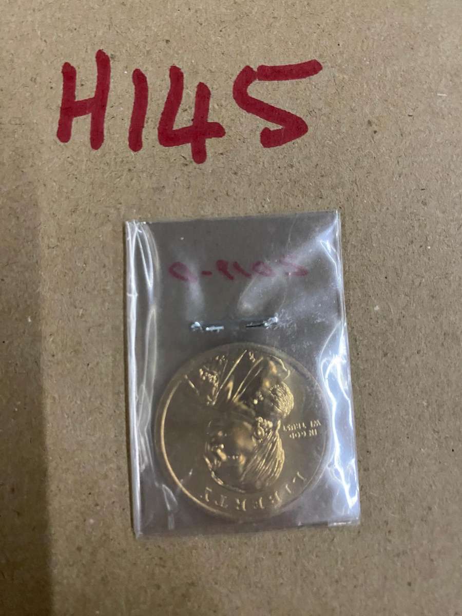 2019 Native American Dollar - Brilliant UNC