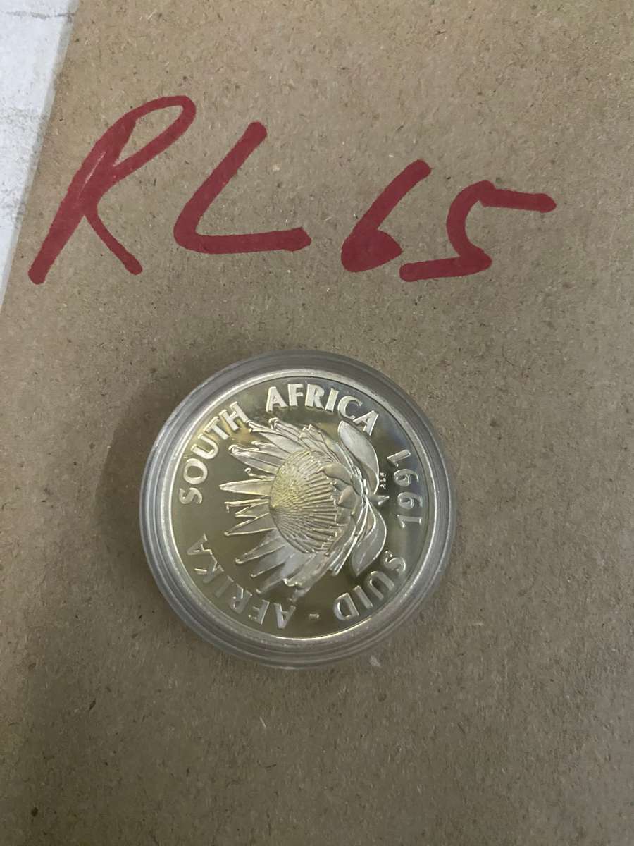 The Perfect 1991 Nursing/Verpleging Silver Proof R1  - Capsulated  Protea Series