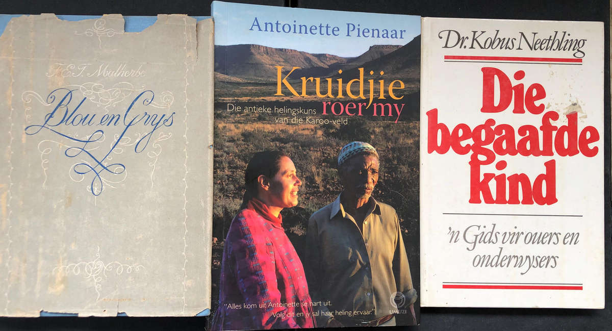 Blou en Grys deur FEJ Malherbe Kruidjie roer my deur Pienaar Die Begaafde Kind deur Dr Neethling