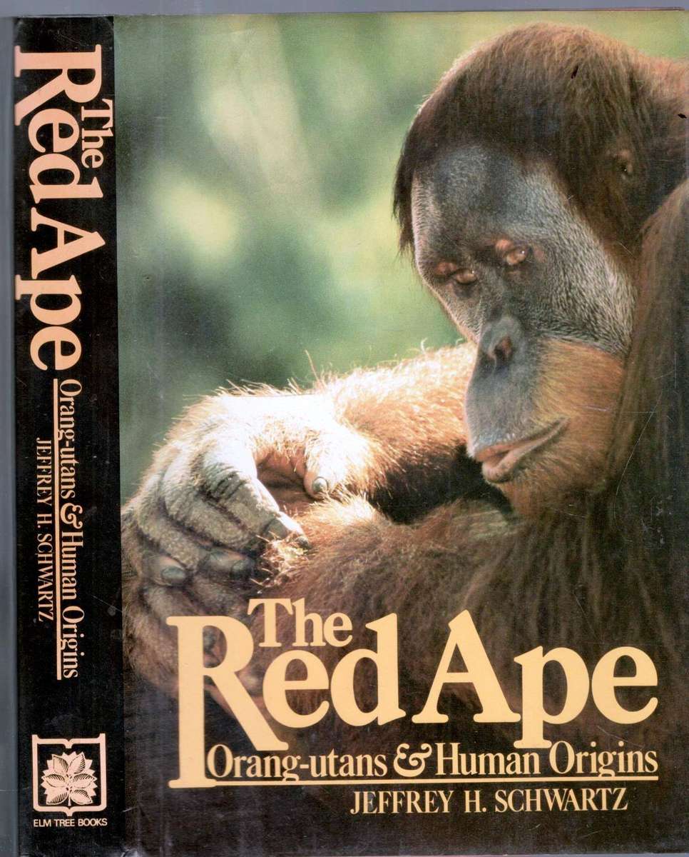 The Red Ape  --  Orang-utans and Human Origins  --  Jeffrey H Schwartz