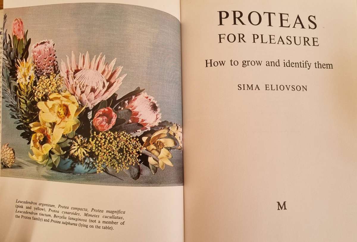 PROTEAS for pleasure, by Sima Eliovson (hardcover)