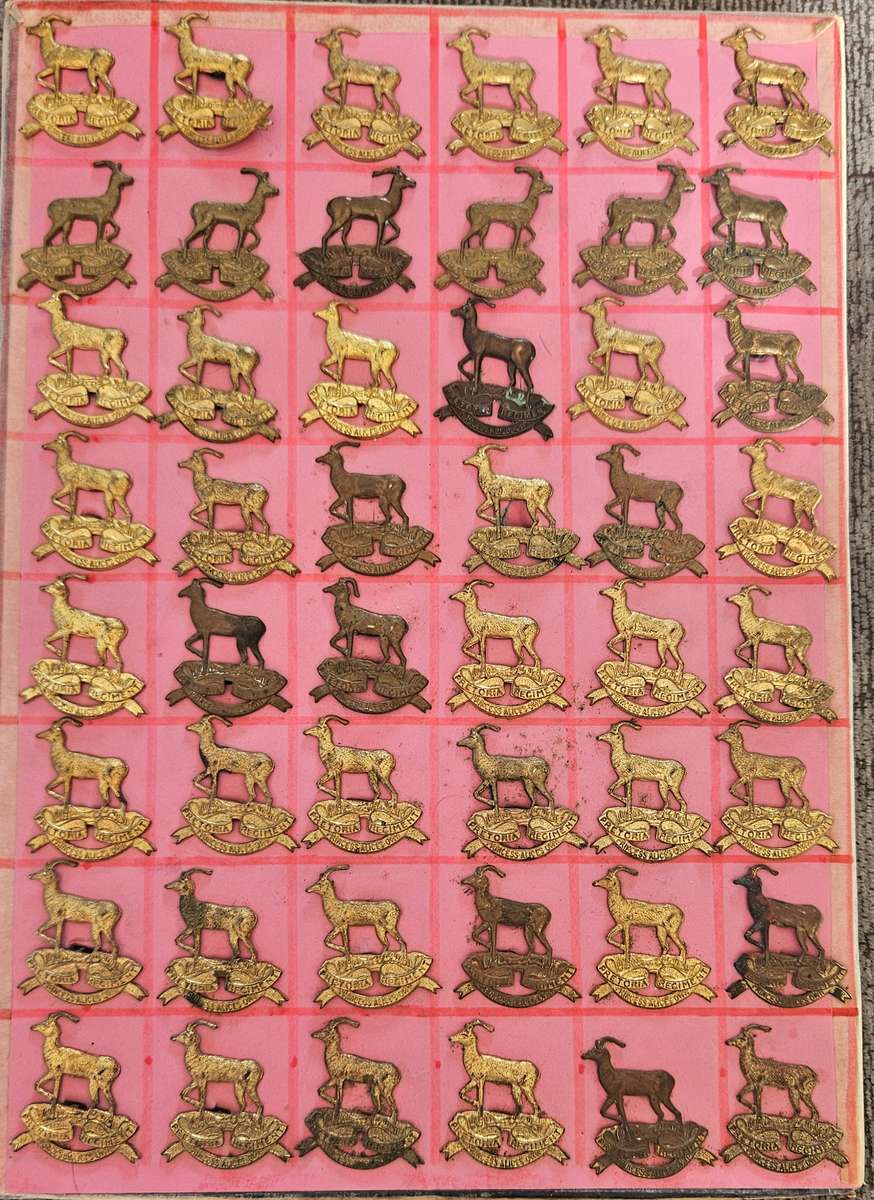 Pretoria Regiment beret badges