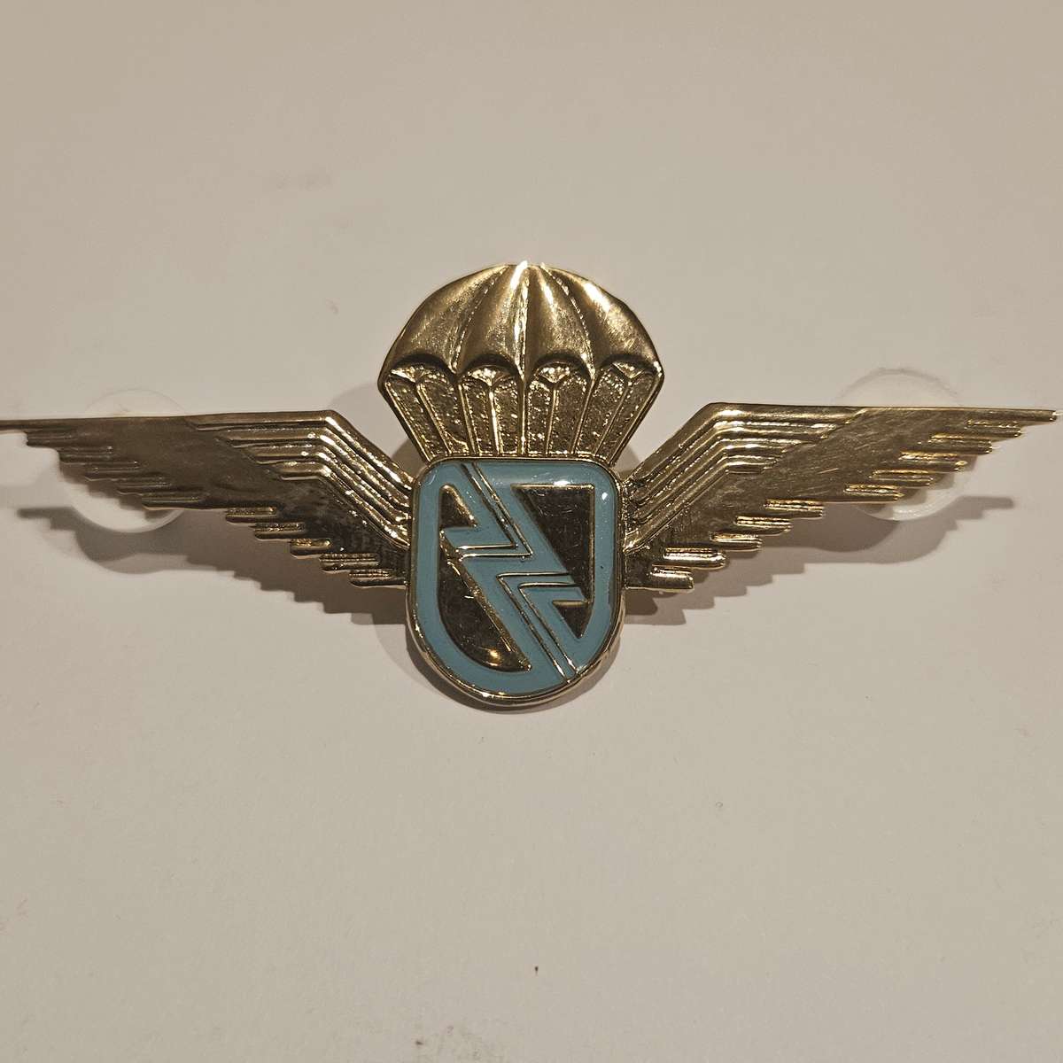 Eskom paratrooper wing gold