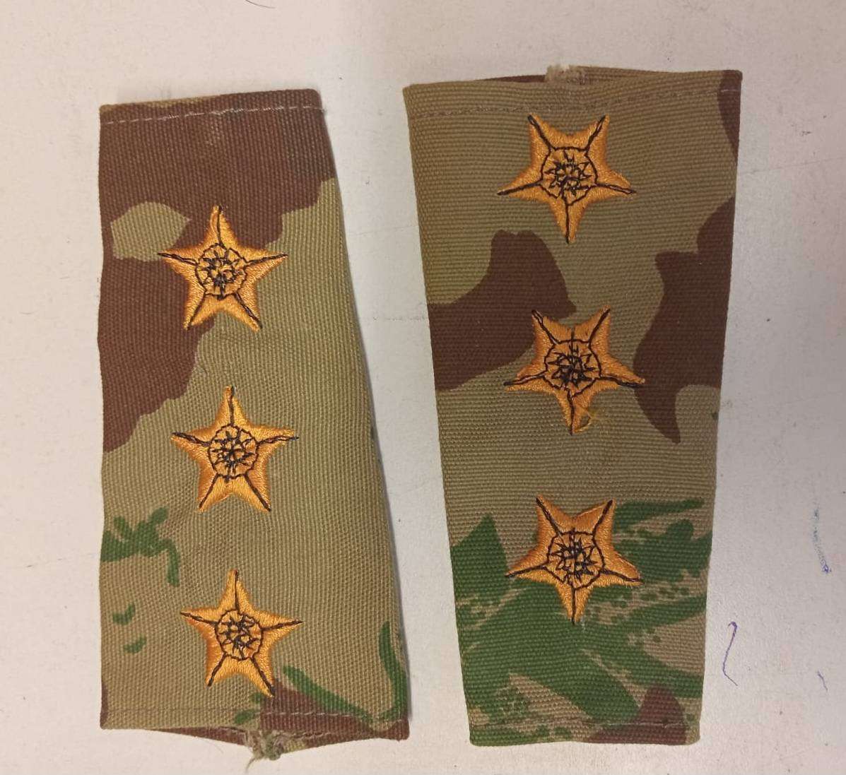 SAP Task Force Captain Ranks