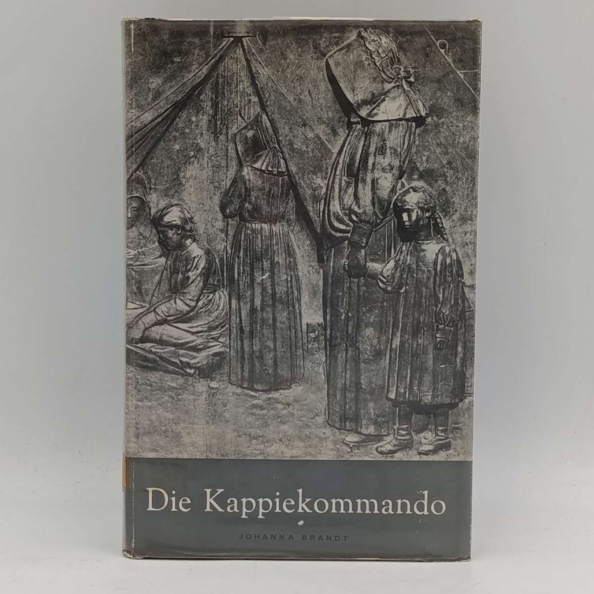 Die Koppiekommando of Boerevroue in geheime diens deur Johanna Brandt